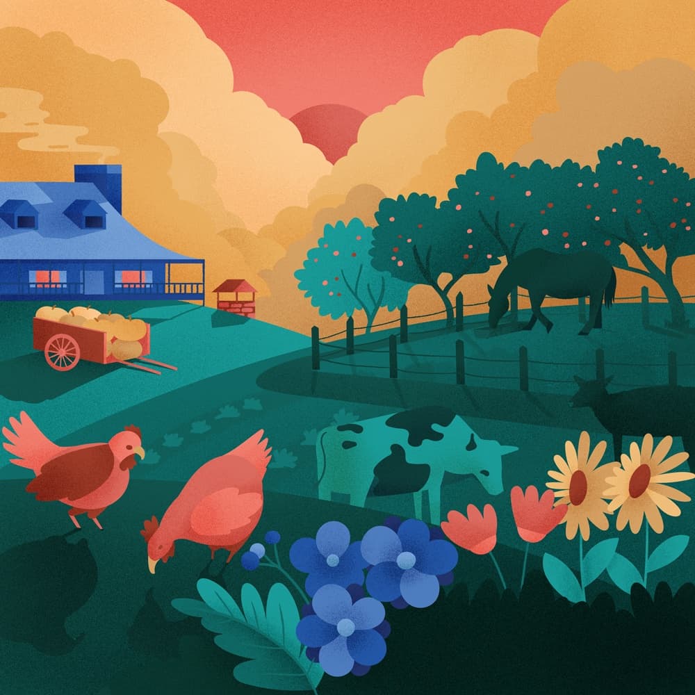 Sundown at Sweet Pea Farm