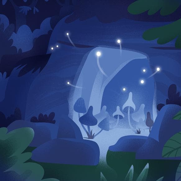 Deep Forest Hypnosis