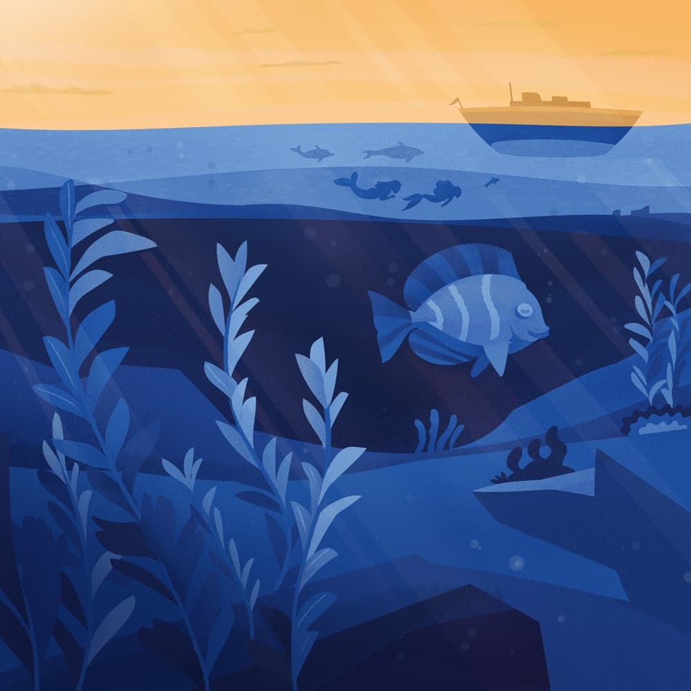 Mirabelle the Mermaid